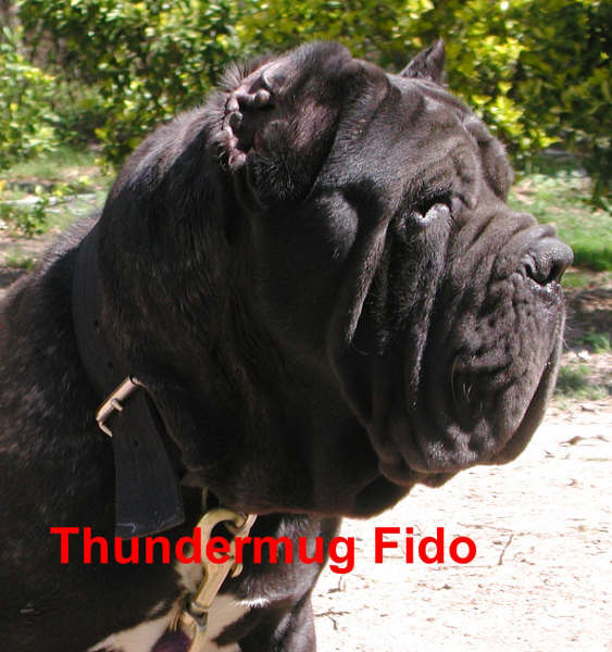 THUNDERMUG-FIDO
