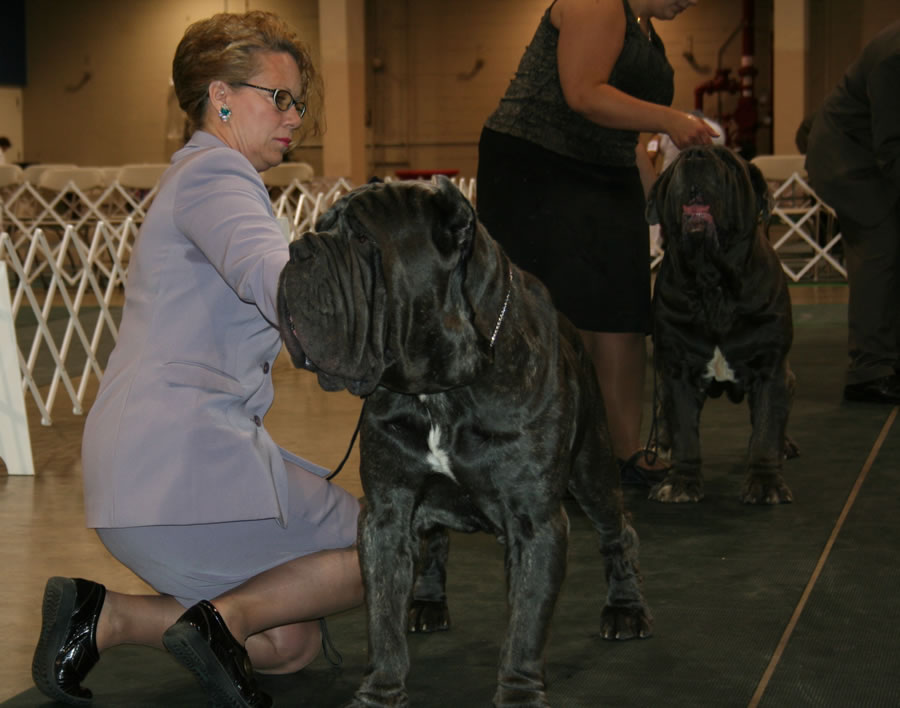 2010-Nationals-28