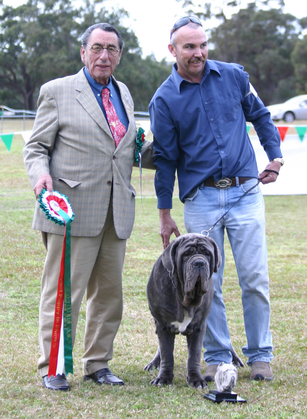 puppyIMG_8070