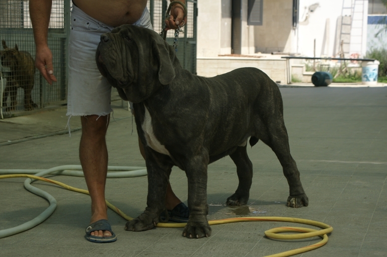 dsc08157acz