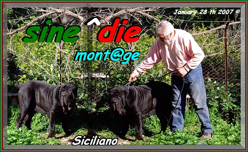 sine^die mont@ge,,, Siciliano 11 months,,,