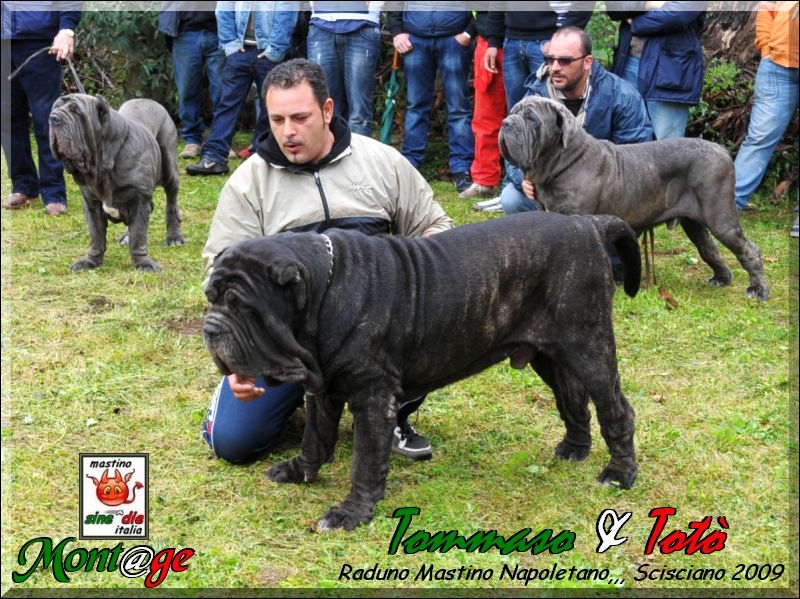 Scisciano 2009,, Toto e Tommaso