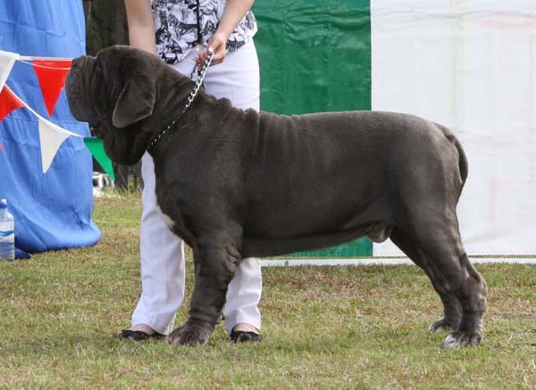 2ndExOpenMaleIMG_2815