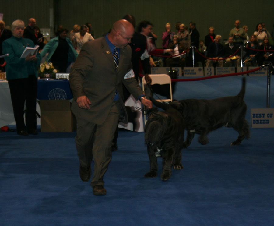 Eukanuba-5