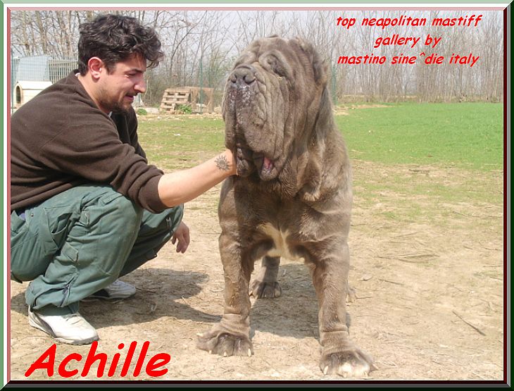Achille16 ooo