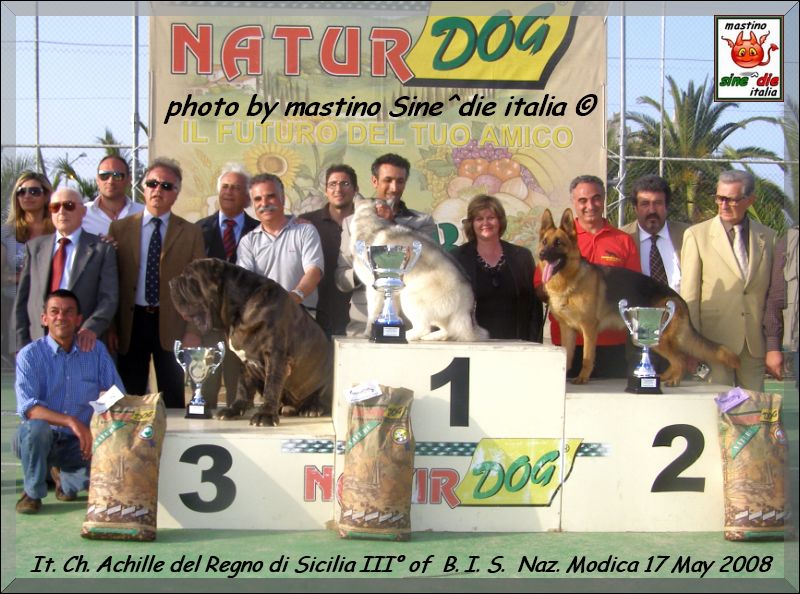 It. Ch. Achille del Regno di Sicilia