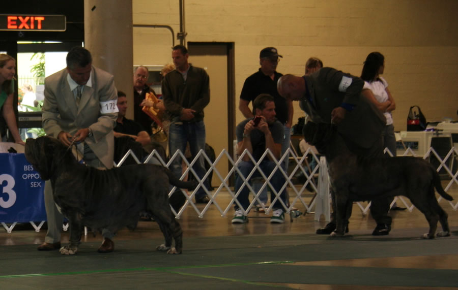 2010-Nationals-57