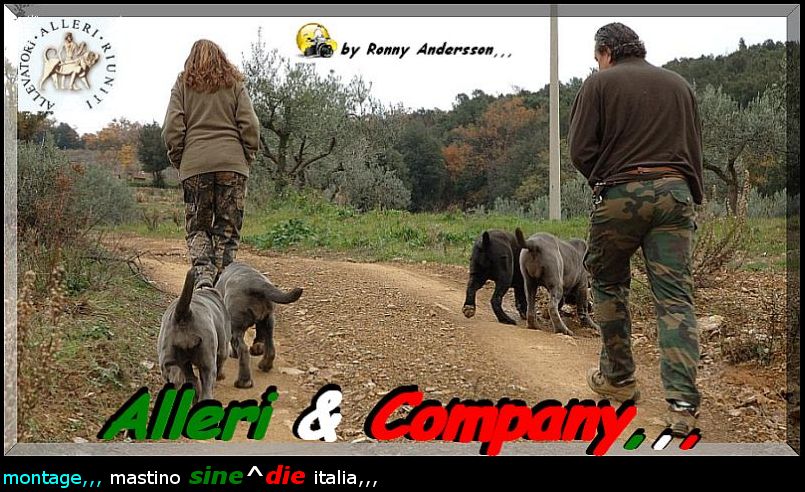 Alleri & Company,,,.bis jpg