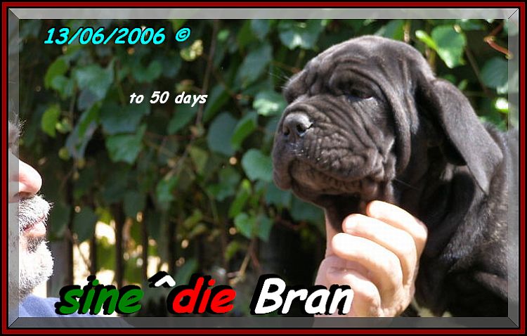 sine^die Bran 13. 6. 2006 xox