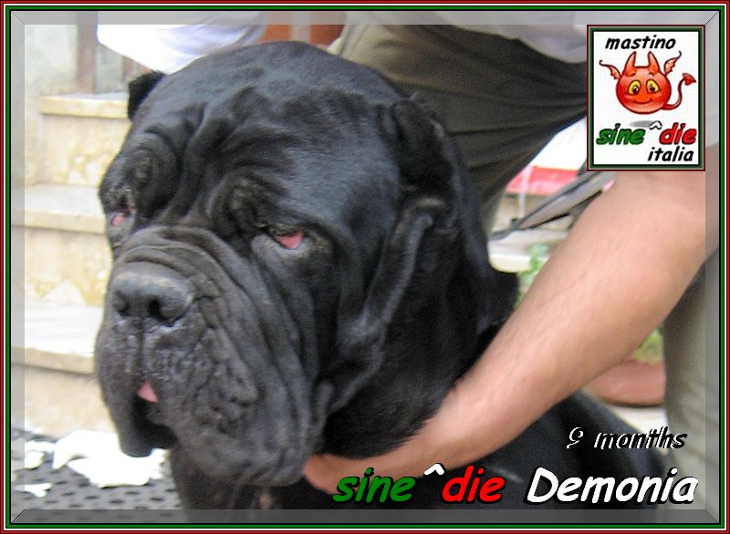 Demonia sine^die a 9 mesi,,,