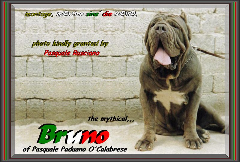 Bruno di Pasquale Paduano O'calabrese oxo