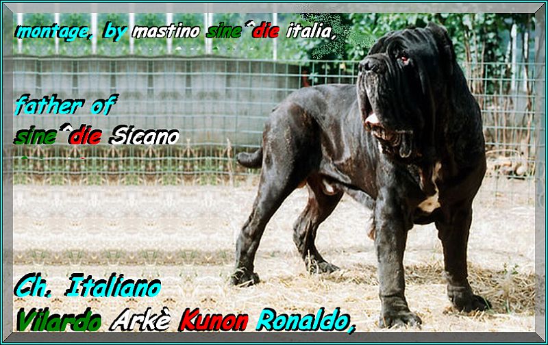 Ch. It. Vilardo Arke Kunon Ronaldo,,, 800 pixel