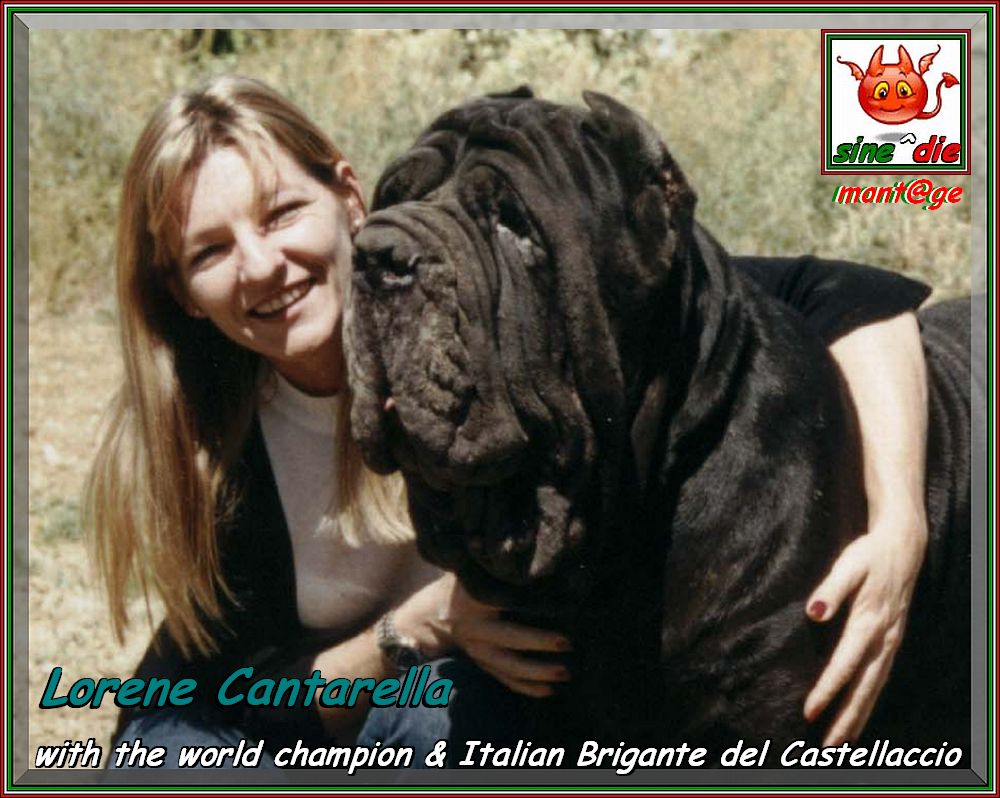 sine^die montage,,, Lorene Cantarella with the world champion & Italian champion Brigante del Castellaccio