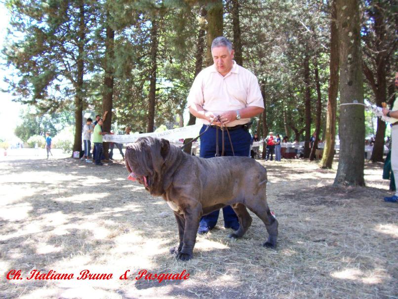 pasquale rusciano - bruno cac bob telese