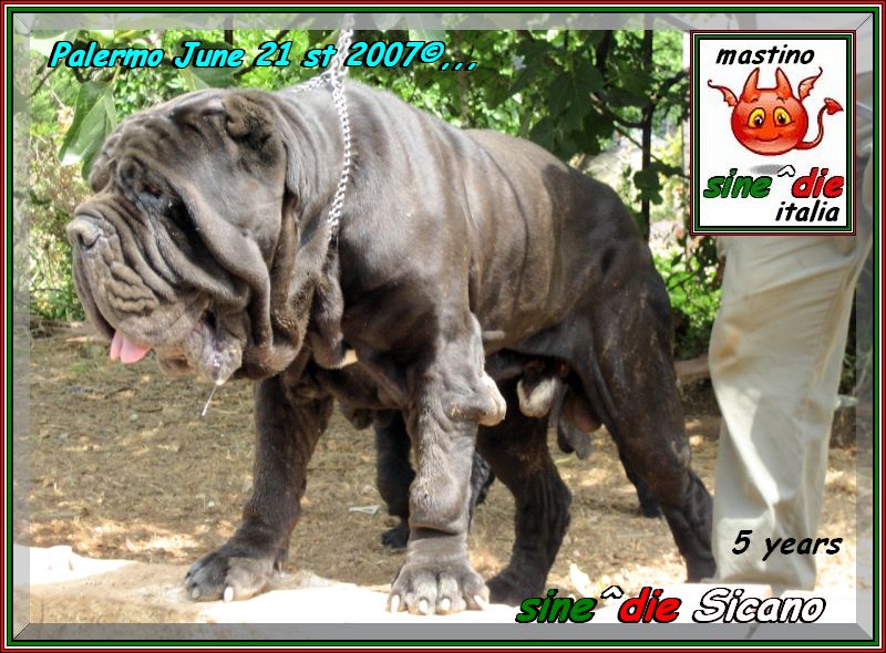Hector potho 052