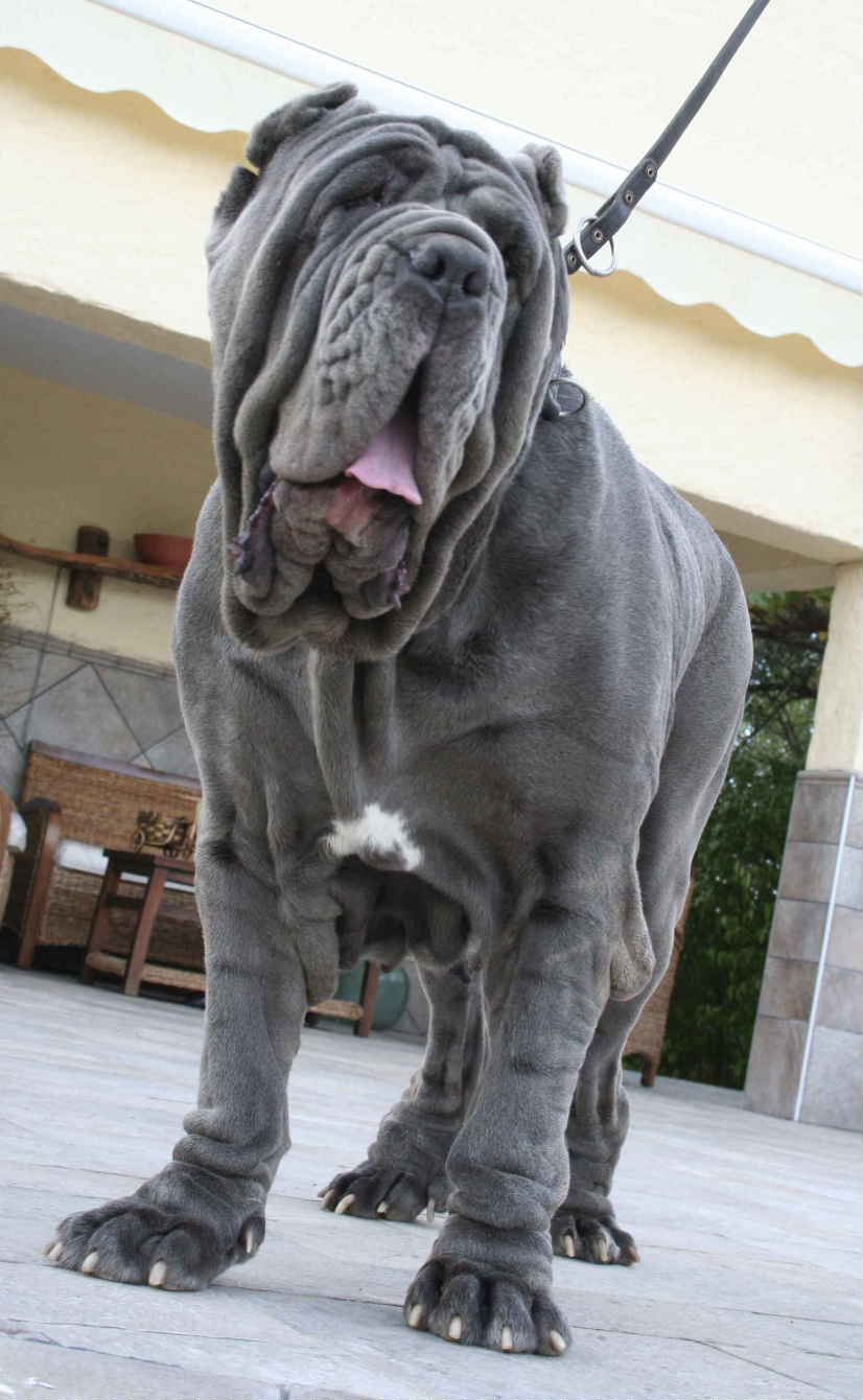BEA FRENTE1 nueva