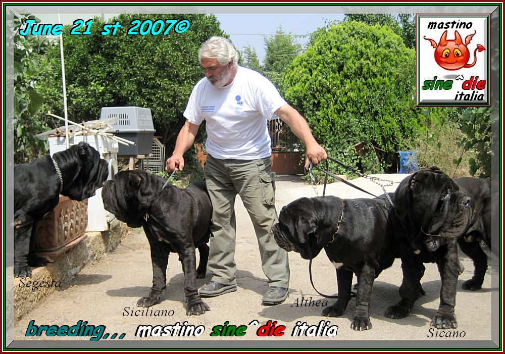 Hector potho 048 bis 1000 pixel