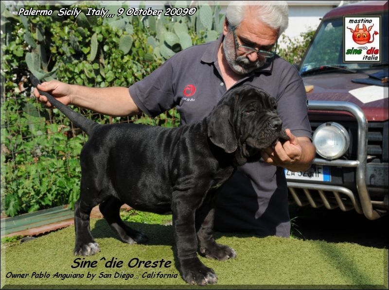 Sine^die Oreste,,, 9 October 2009