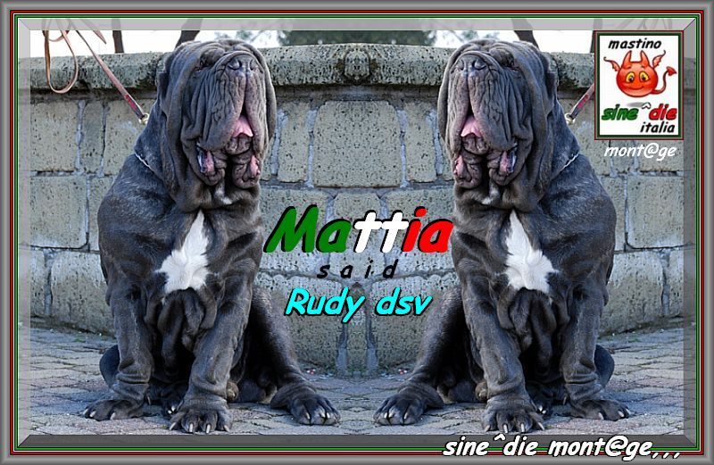 Rudy by dsv,,, Said Mattia,,,