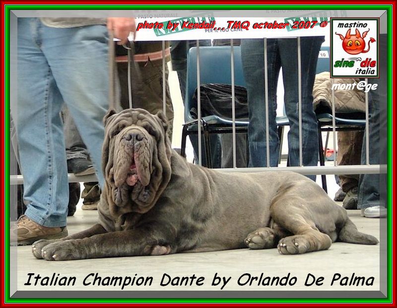 Dante by Orlando De Palma new italian champion sine^die montage,,,-