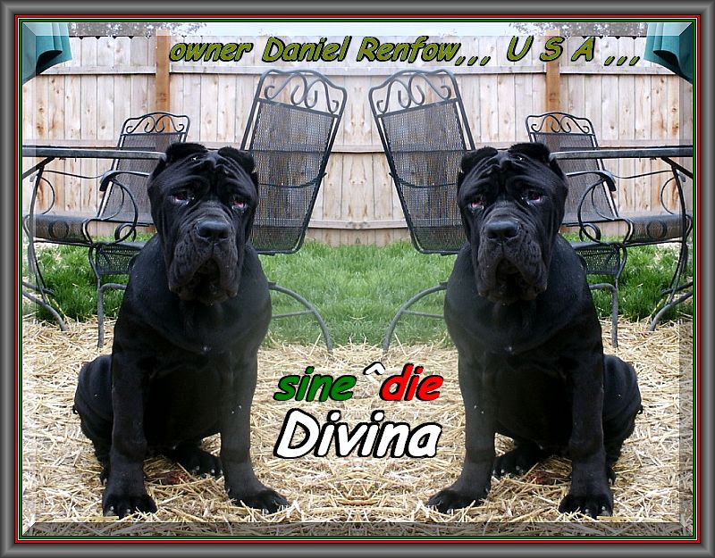 Divina sine^die,,, owner Daniel renfow,,,