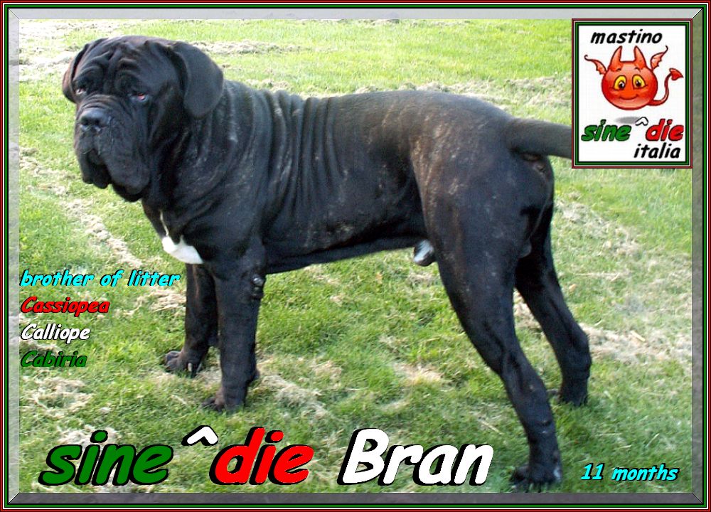 sine^die Bran 11 mesi xxx