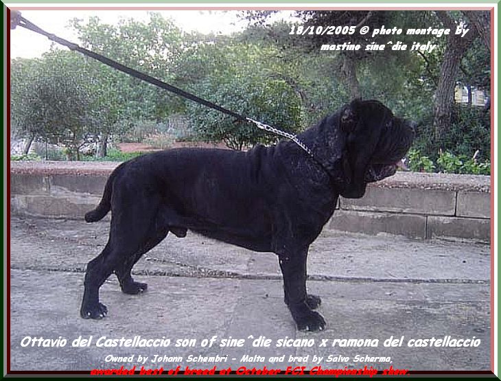 by sine^die ottavio del castellaccio 00x