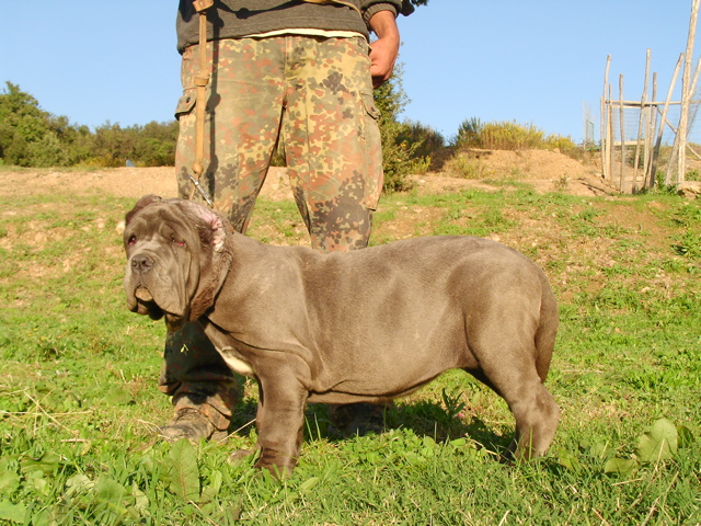 SANY0060_1