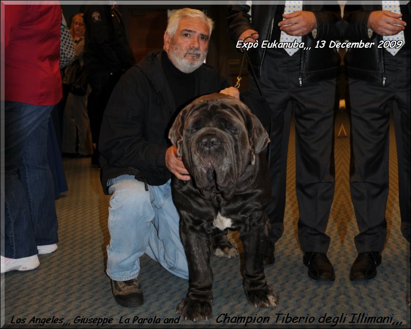 Expo Eukanuba California Ch. Illimani Tiberio..