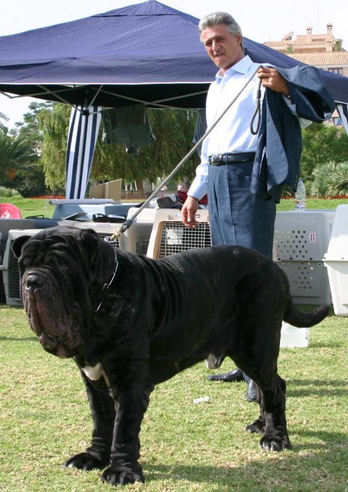 Patrizio