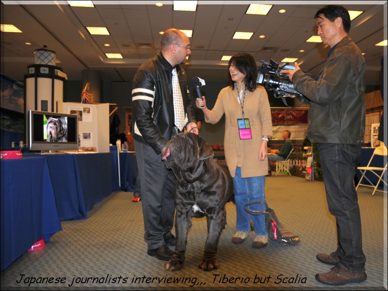 Expo Eukanuba California Ch. Illimani Tiberio.