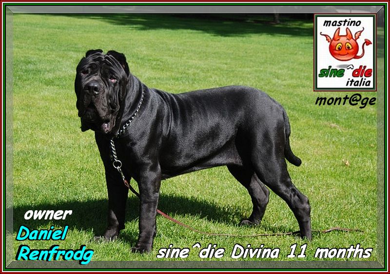 sine^die Divina 11 mesi,, proprietario Danile Refrodg xox