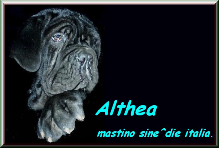 children of sine^die Sicano in the world by Althea 1