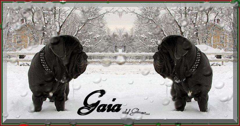Gaia del Gheno,,,