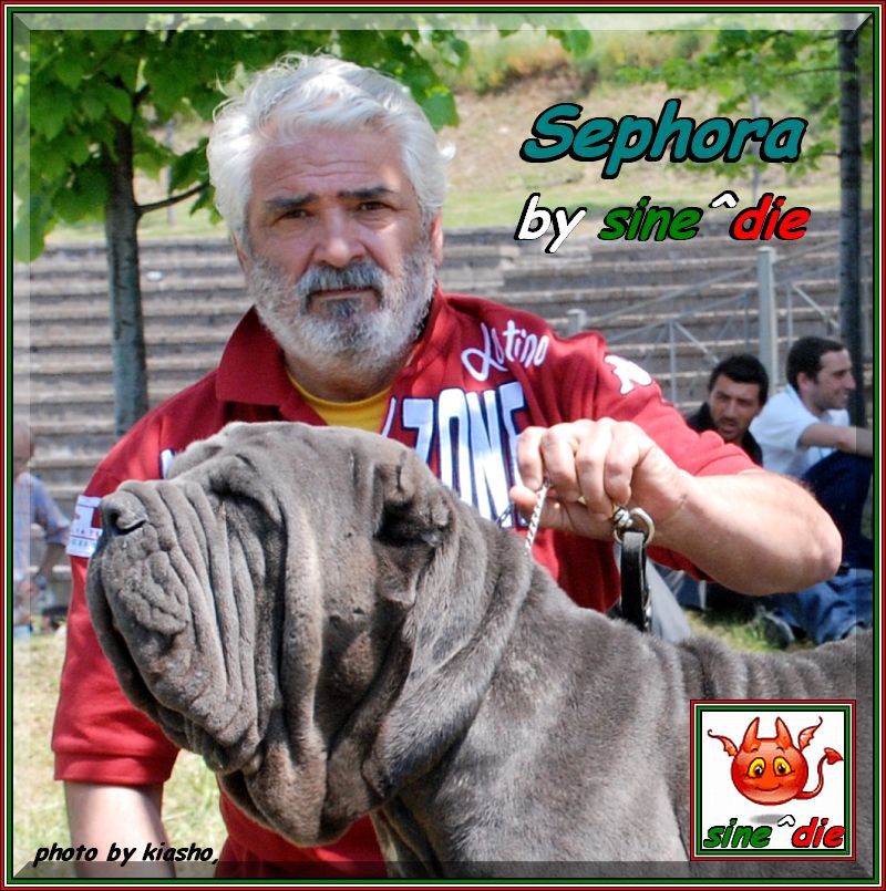 mastino sine^die italia,,, 59 Expo Int.Ercolano  29 Aprile 2007,,, 069
