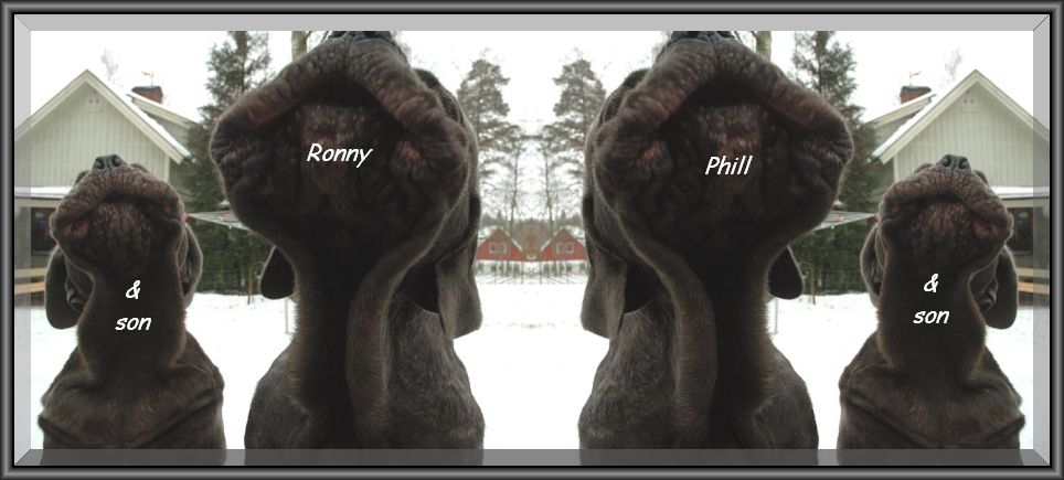 Ronny Phil & son