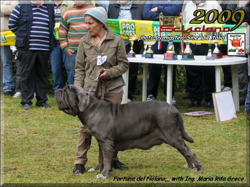 Scisciano 2009 ,,,,,,,