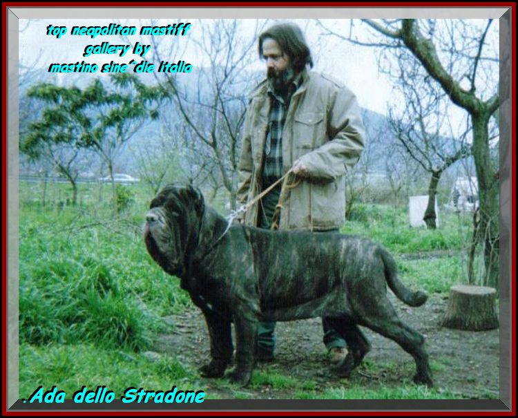 Ada dello Stradone