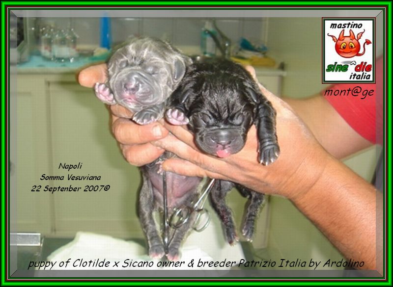 figli di Clotilde by Ardolino x sine^die Sicano,,, 22 september 2007,