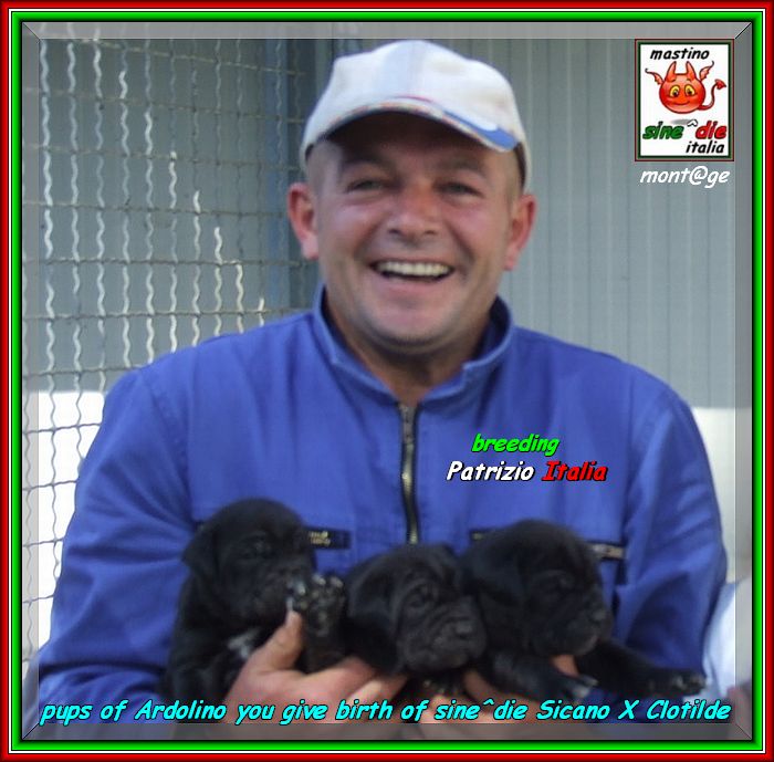 Cuccioli di sine^die Sicano x Clotilde proprietario Santolo Ardolino,,,