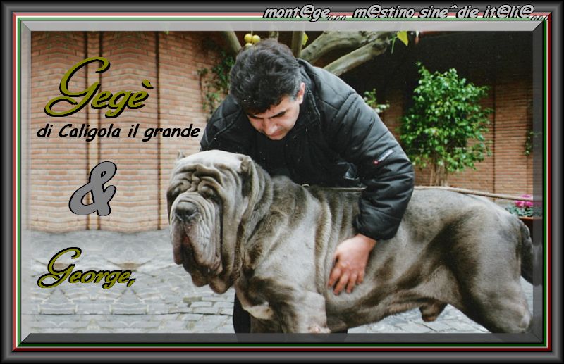 Gege di Caligola il grande. & George,,,
