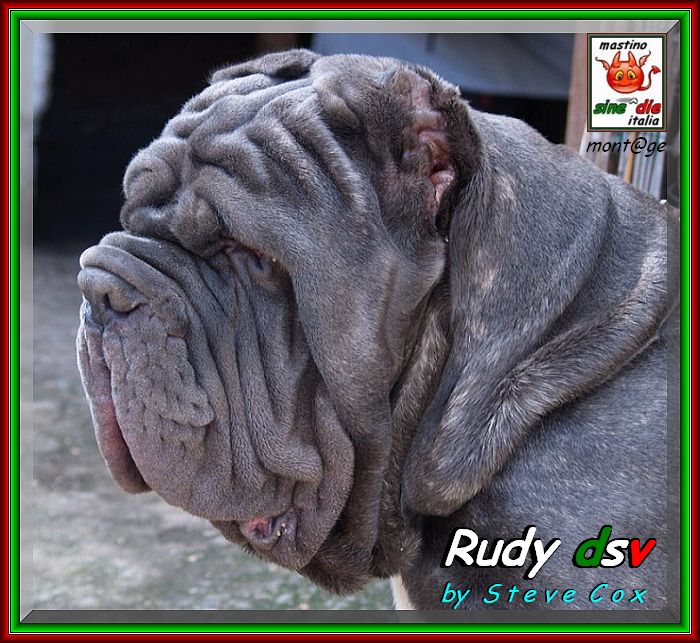 Rudy dsv,,, by Seve Cox montage sine^die,,,
