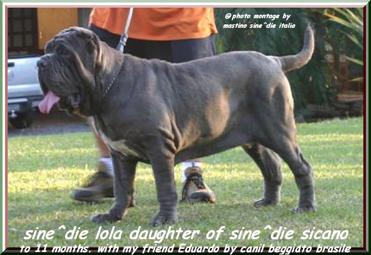 sine^die lola daughter of sine^die sicano 0002