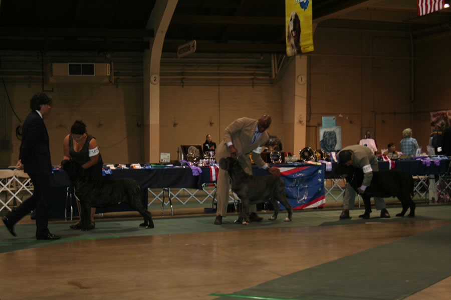 2010-Nationals-6