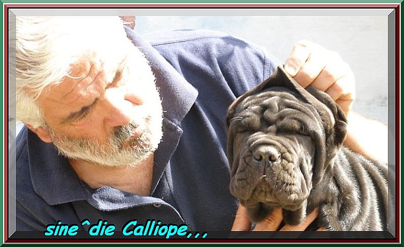 sine^die Calliope,,, owner mastino sine^die italia,,, 0599