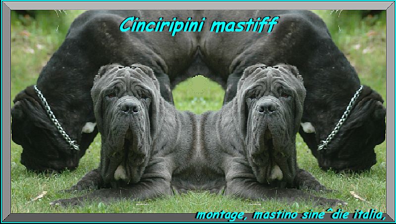 Cinciripini mastini Angelo & Abramo nipoti di sine^die Sicano,