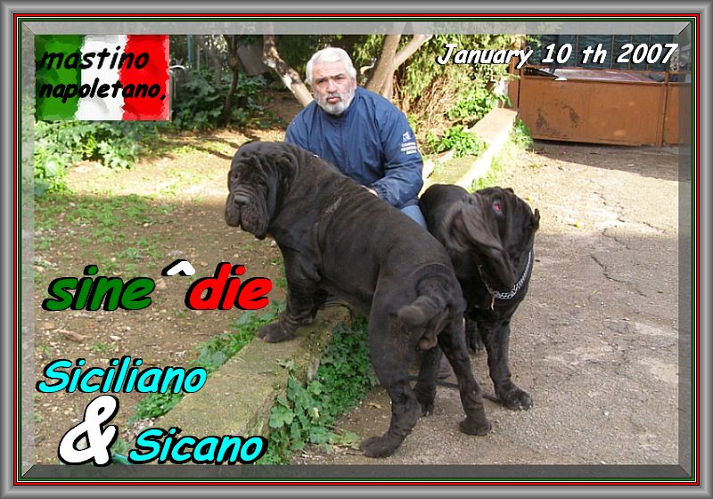 Siciliano & sine^die Sicano