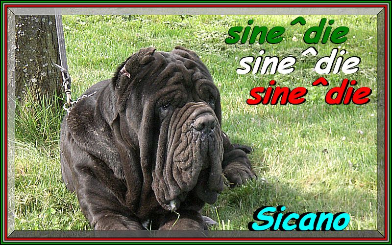 sine^die Sicano Roma 10 marzo 2007 ,