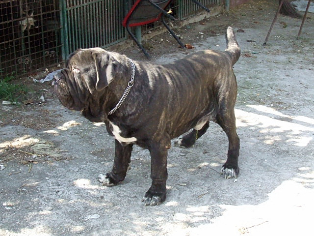 2006_1004Abi04680001