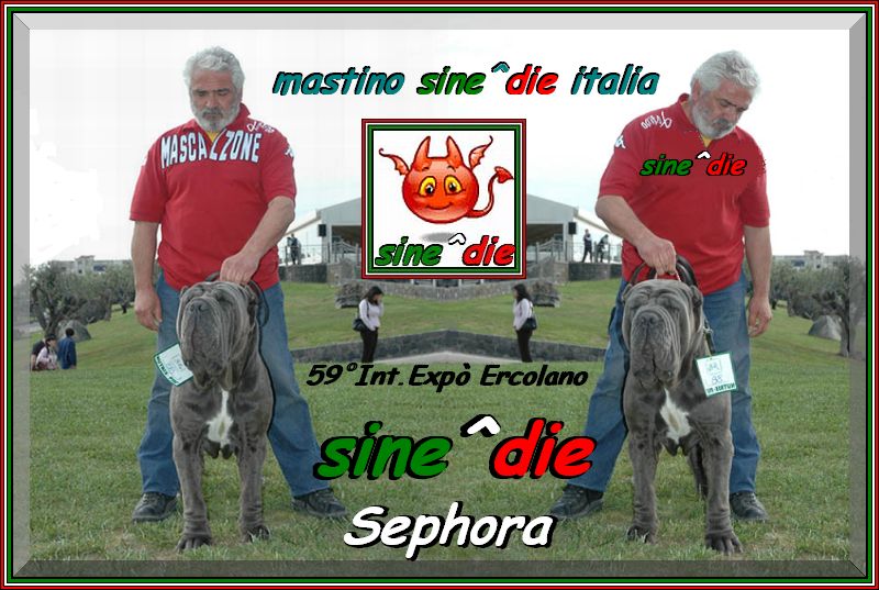 mastino sine^die italia,,, 59 Expo Internazionale Ercolano  29 Aprile 2007,,, CLIII
